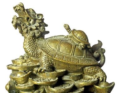 中华鳖乌龟背景图片