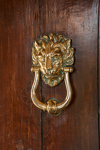 以黄铜狮子头形的橡木门上敲高清图片