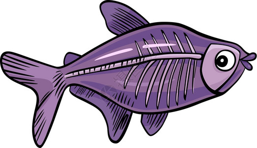 X射线鱼漫画插图图片