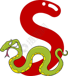 蛇卡通蛇的卡通插图背景