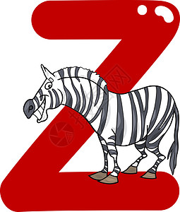 斑马卡通斑马的z字母漫画插图背景