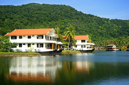 热带酒店在泰国的丛林中图片