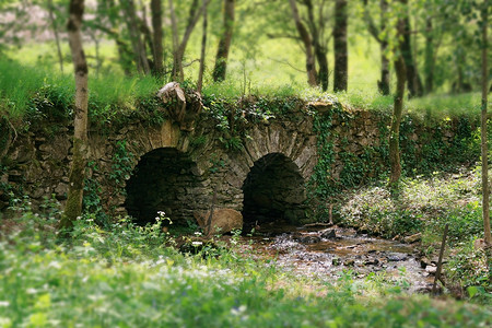 林中漂亮的小石头桥河上的小背景图片