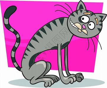 灰色小猫卡通插图图片