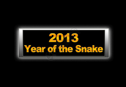 蛇的2013年份图片