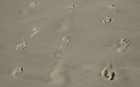 沙子的足迹背图片