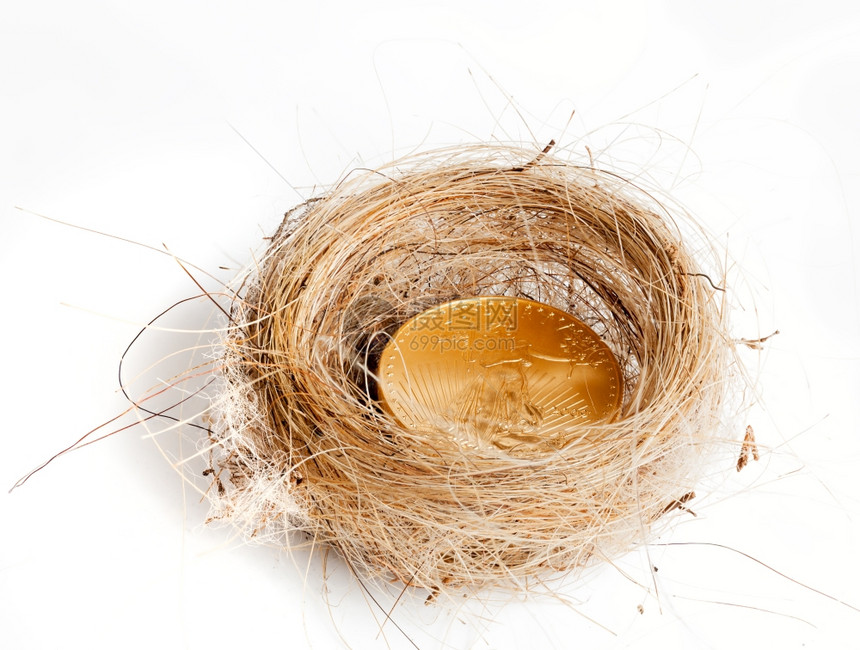 编织鸟巢中的金鹰蛋作为财富的概念图片