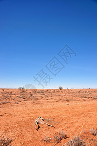 澳洲的红色沙漠荒图片