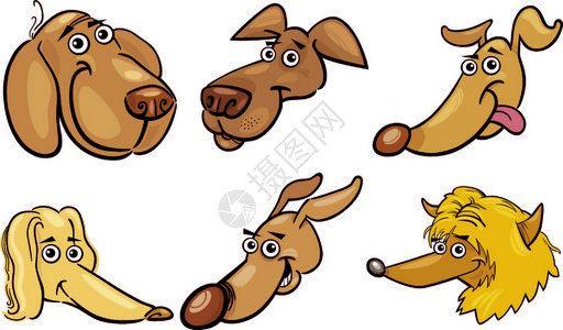 阿富汗猎犬有趣的狗头插画