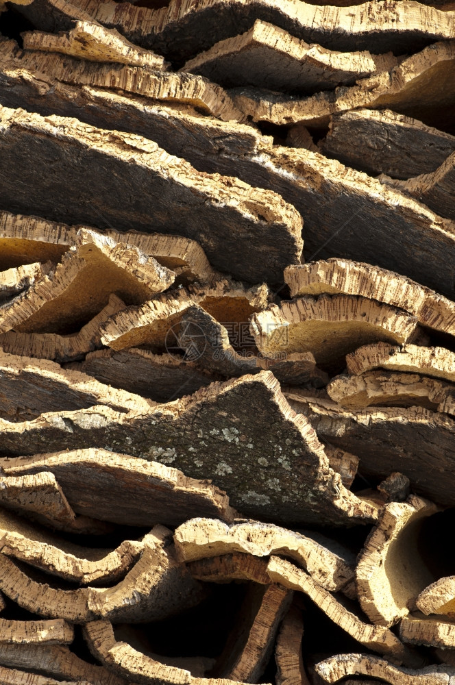 碳结壳天然木块图片