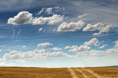 农村道路和蓝色天空图片