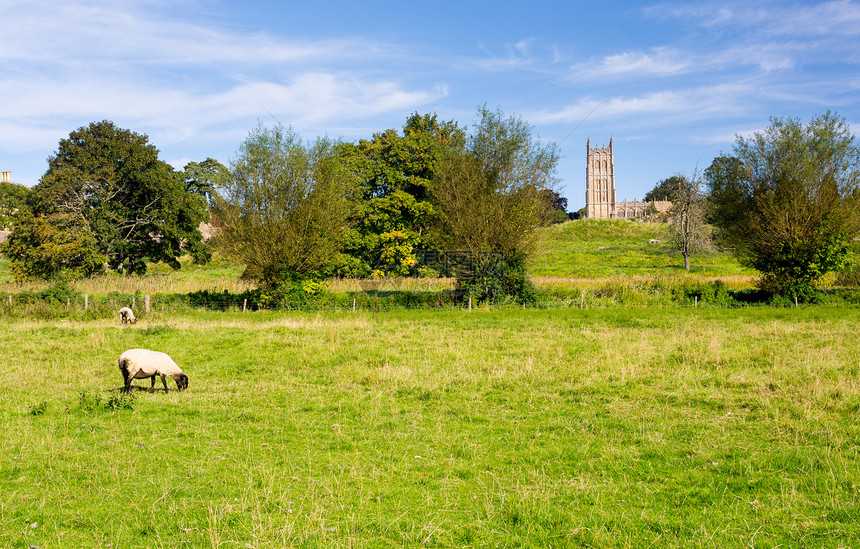 圣James教堂在草地对面与绵羊一起在古老的Cotswld镇花椰子野营图片
