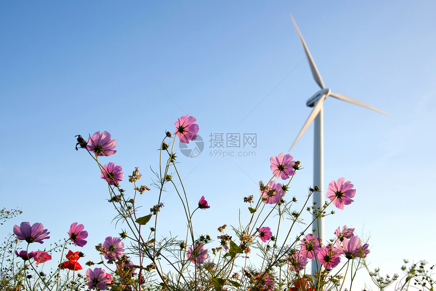 蓝色天空粉红花和风涡轮机图片