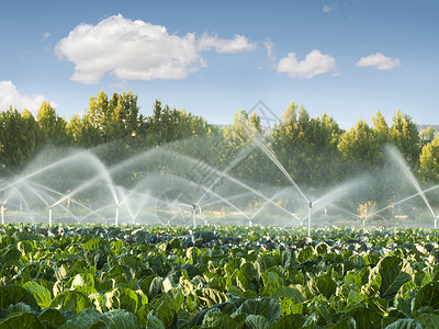 灌溉系统地下管道绿色蔬菜花园灌溉系统背景