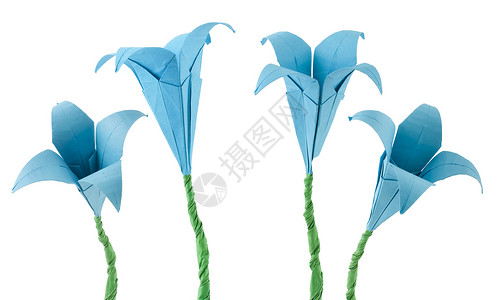 蓝花折纸白孤立造花图片