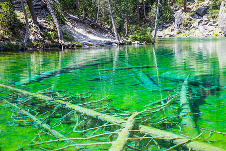 绿湖高山因当地海草而染有氟色的高山湖图片