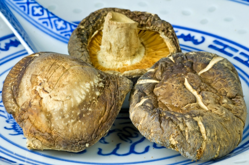 芝麻蘑菇图片
