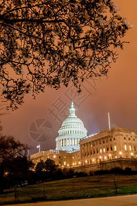 我们美国州春天的Awashtondc大楼的Capitol大楼图片