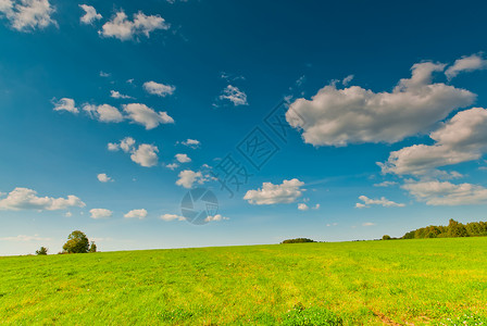 绿地和蓝天空的美丽景色图片
