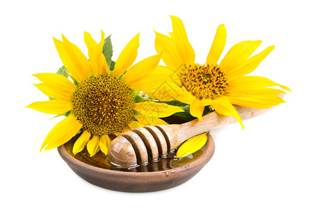 带有蜂蜜干燥器和花向日葵的粘土瓷盘图片