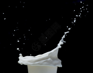 黑色背景上喷洒的牛奶图片