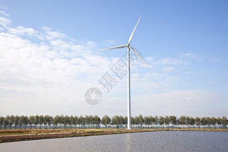 湖边的风力涡轮机和Holand的一排树木图片素材