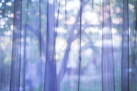 窗口上的紫色透明窗帘图片