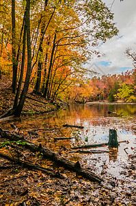 麦克道尔湖边的秋天背景