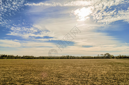 农田大面积的荒芜背景图片