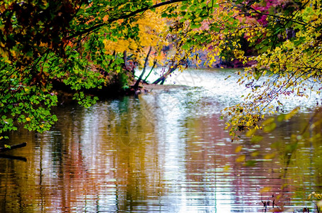 秋天的北卡罗莱纳湖图片