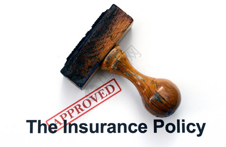 保险政策核定图片