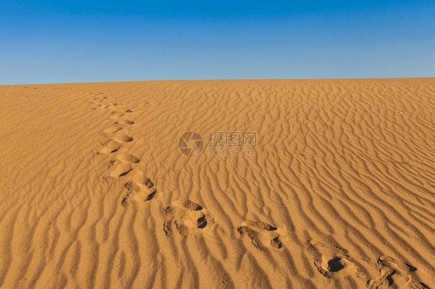 喀里多尼亚谷地沙漠中梅斯基特平原地沙丘图片