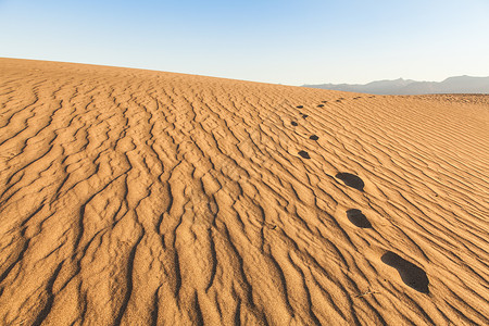 喀里多尼亚谷地沙漠中梅斯基特平原地沙丘背景