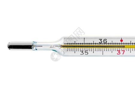 温度计显示体高图片