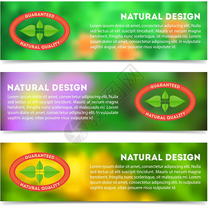 带有平面彩色陈年标签的一套生态横幅图片