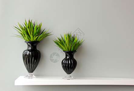 黑色花瓶中的绿植物装饰房间图片