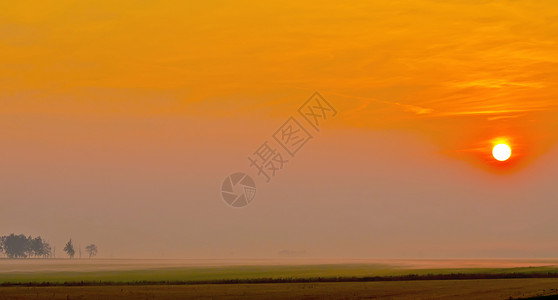 太阳橙色天空田野黎明时雾中的树影图片