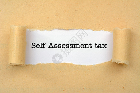 税单自我评估税背景