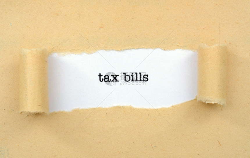 税账单图片