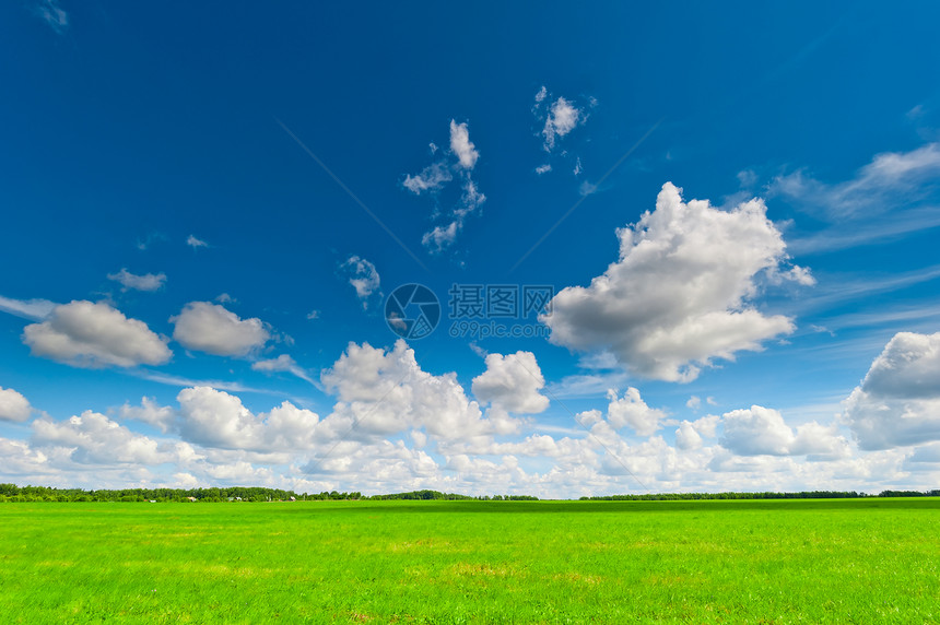 美丽的绿地和积云图片