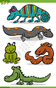 多彩变色龙有趣的爬行动物插画
