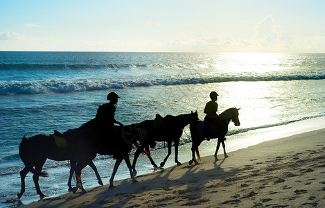 人们骑着马在Bali海滩上日落不眠休图片
