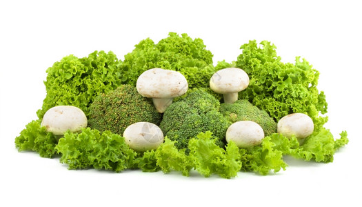 在白色的孤立生菜上吃着新鲜的蘑菇图片