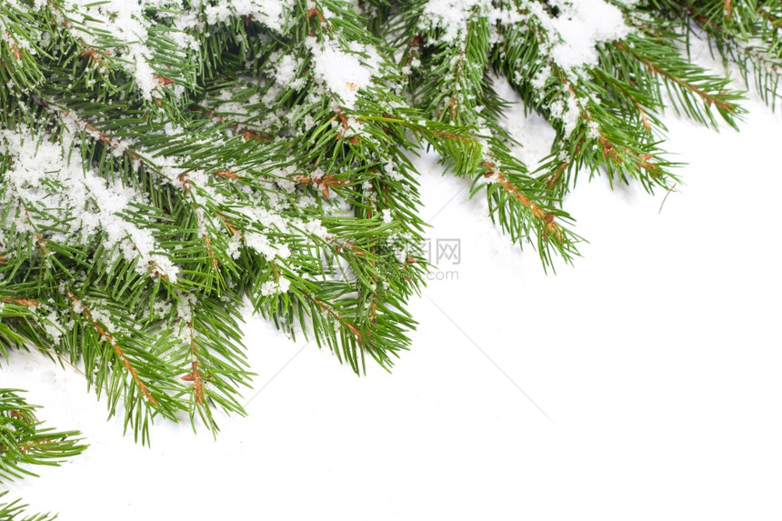 圣诞节背景白雪与隔离图片