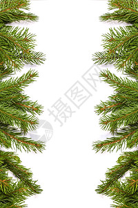 在白色背景上孤立的圣诞绿色框架高清图片