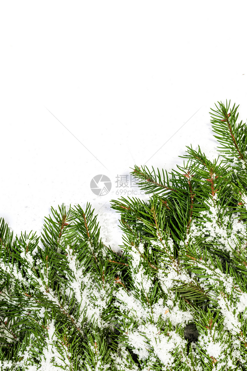 圣诞节背景白雪与隔离图片
