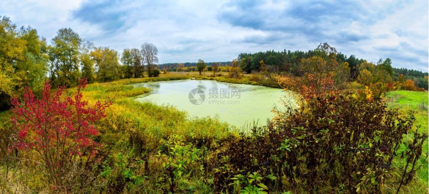 秋天的风景公园植被图片