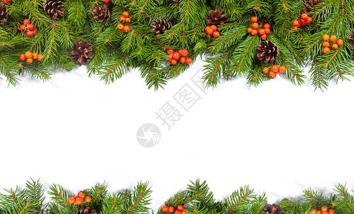 以白色背景隔离的圆锥和霍利贝的圣诞绿色框架图片