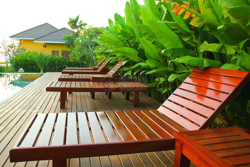 热带植物包围的椅子和游泳池图片