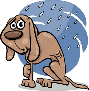 消瘦的雨中贫穷流浪狗插画